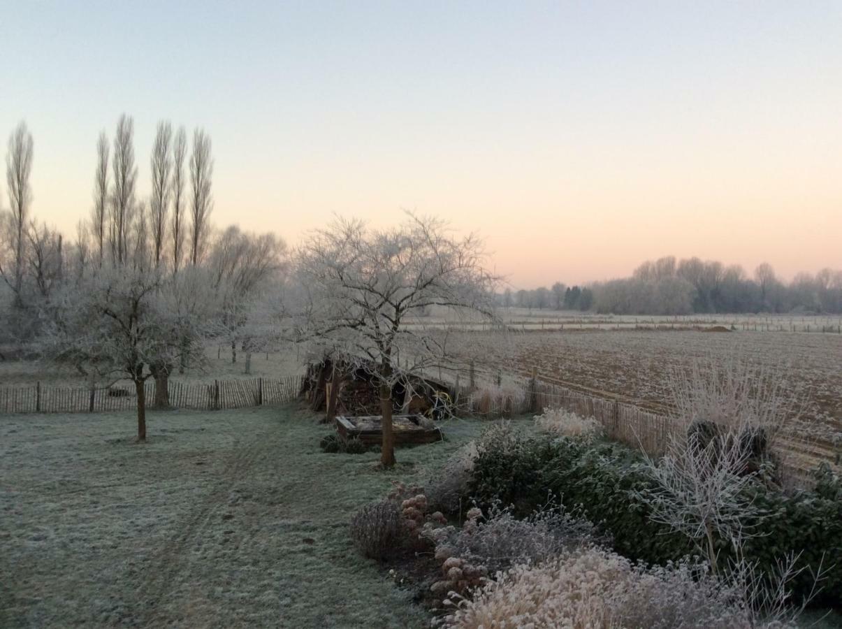 Vakantiewoning Salix Herne Zewnętrze zdjęcie